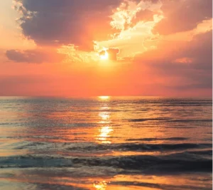 «Prendre congé d'un proche, le coeur apaisé» - article de presse